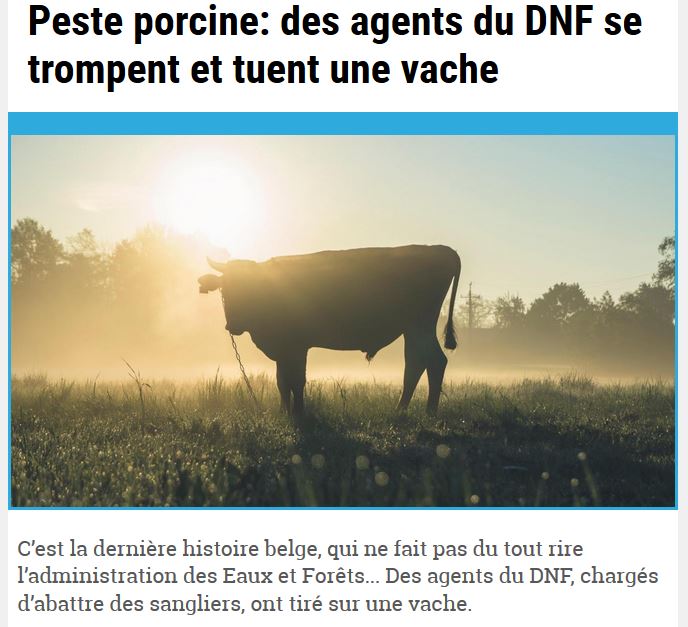 Ahhh la vache.JPG